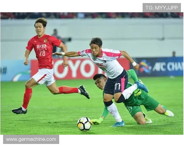 新泻天鹅与黄蜂精彩对决直播全程回顾及赛后分析